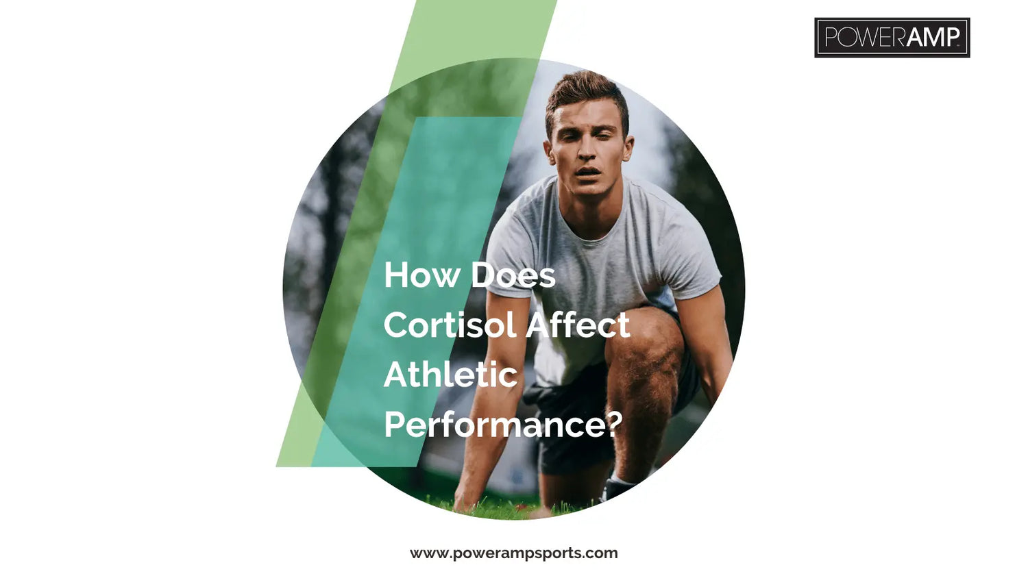 How Does Cortisol Affect Athletic Performance? - PowerAmp Sports Nutrition