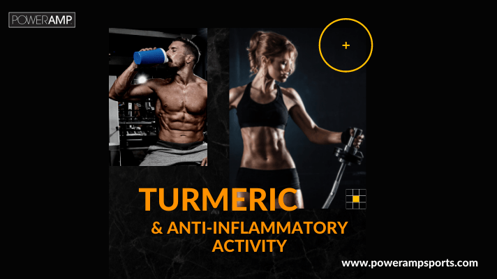 Turmeric and Its Anti-Inflammatory Activity - PowerAmp Sports Nutrition