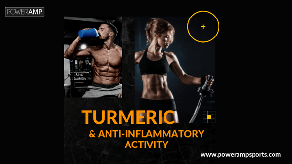 New and Exciting Research into Turmeric Extract - PowerAmp Sports