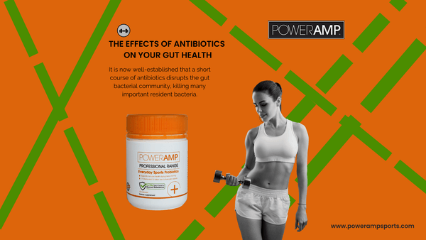 The Effects of Antibiotics on Your Gut Health - PowerAmp Sports