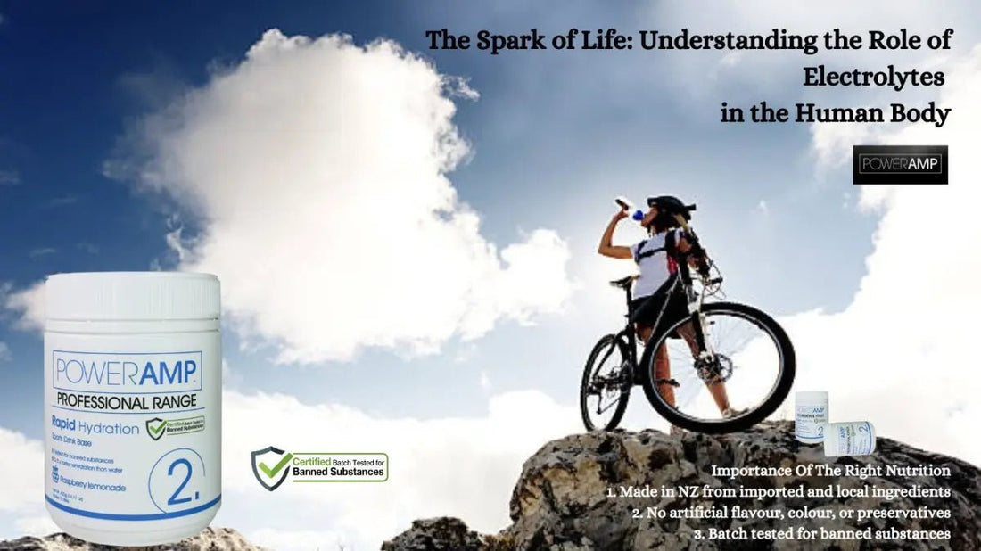 The Spark of Life: Understanding the Role of Electrolytes in the Human Body - PowerAmp Sports Nutrition