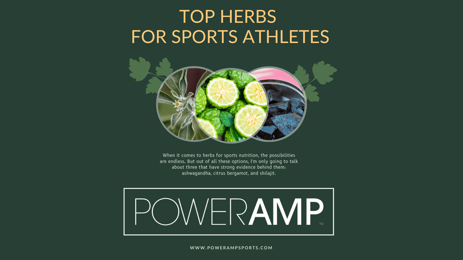 Top Herbs For Sports Athletes