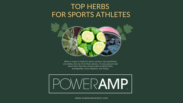 Top Herbs For Sports Athletes - PowerAmp Sports