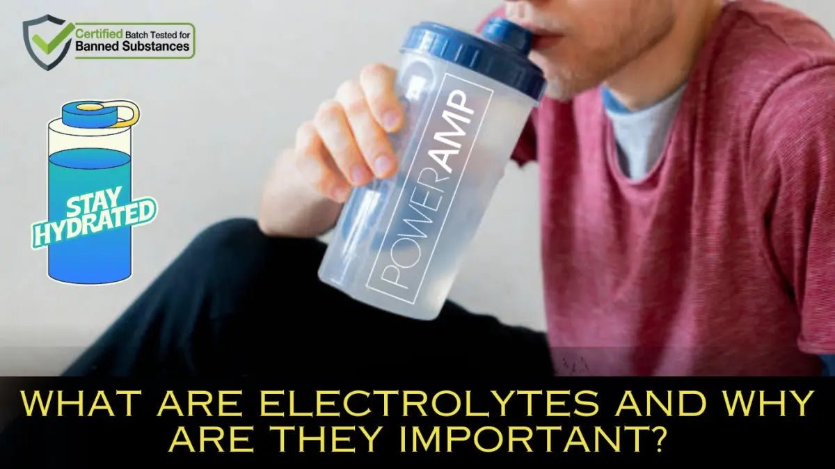 WHAT ARE ELECTROLYTES AND WHY ARE THEY IMPORTANT? - PowerAmp Sports Nutrition