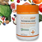 Everyday Sports Multivitamin 60 capsules - PowerAmp Sports
